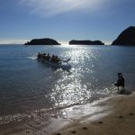 Dawn-paddle-Golden-Bay-winter-series-2017-1