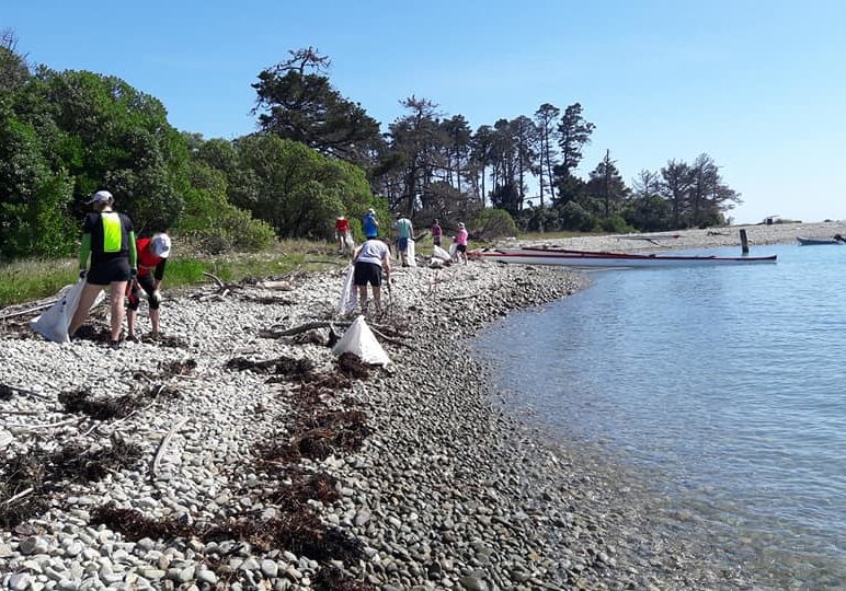 Maitahi Outrigger Canoe club memebers picking up rubbish for Sustainable Coastlines